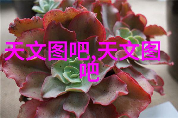 化工卫生阀我来告诉你怎么选择不错的化工卫生阀
