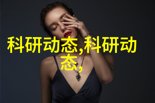 探索创新之门深度解析中国专利查询入口的功能与应用