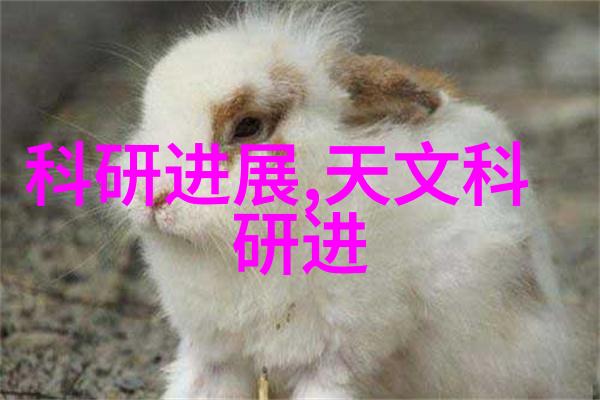 bx500型丝网波纹填料高效节能的建筑保温材料