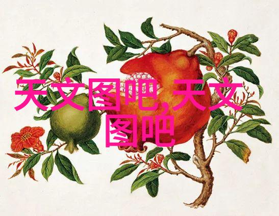 如何进行PE排水管材的维护和清洁以延长其使用寿命