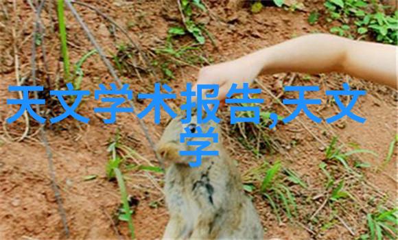 恒温恒湿冰火交融的温室奇迹