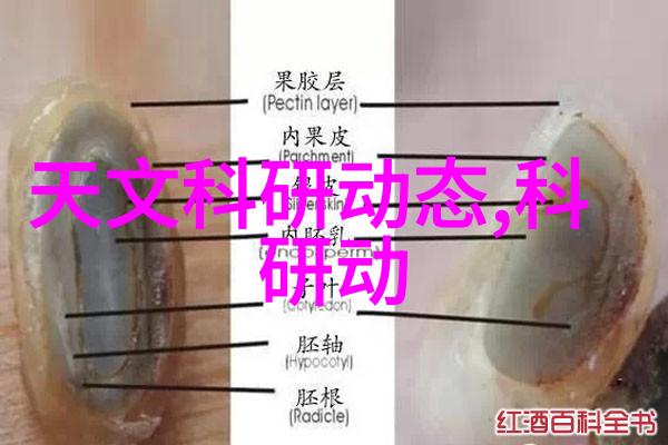 超纯水处理设备公司我的清澈之旅
