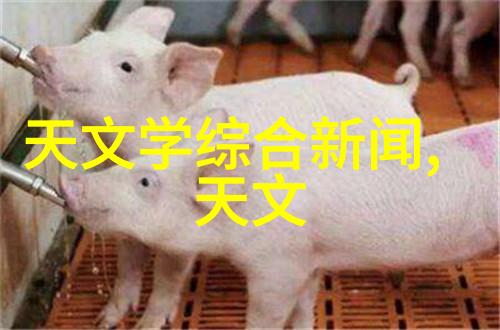 新冠防疫消毒服务报价标准一平米多少钱