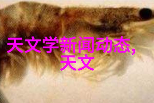 输送设备的安全与维护策略