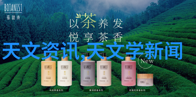 从零到一理解和设计高效的填料密封结构图