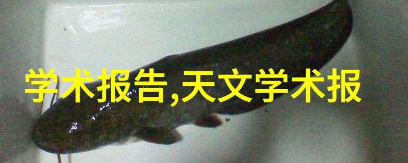 半导体 芯片 区别我来告诉你这些超级小的电子宝贝有啥不同之处