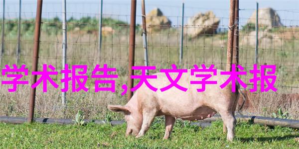 树脂井盖碧波荡漾的城市心脏