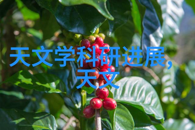 军用软件评估认证体系与其在国防科技领域的应用探究