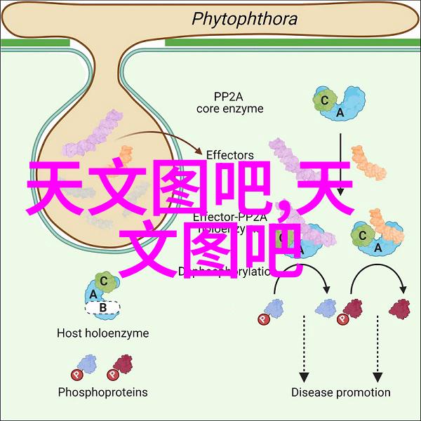 在电器购物平台上ACTXA阿卡驰空气净化器是如何以其强劲的性能和全屋高效的净化能力守护家人呼吸健康