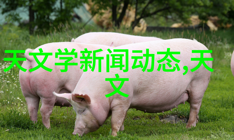 彩绘生活喷漆水帘柜的DIY艺术探索