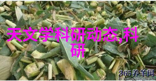 实验室选矿设备的应用与发展