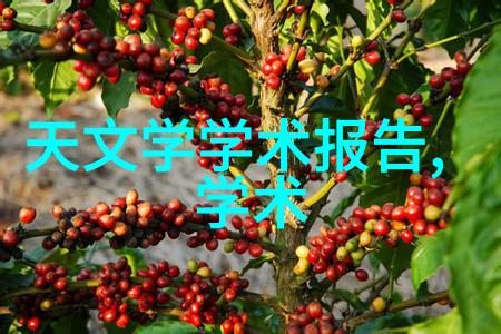 化粪池清理-深入浅出化粪池清理的技巧与注意事项