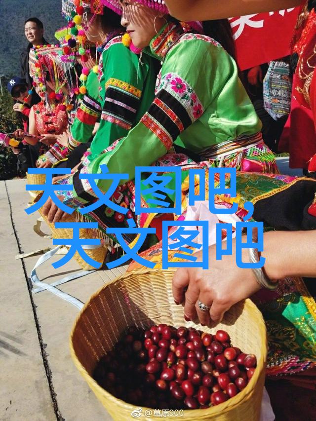 中国石油化工网站探索能源未来之路