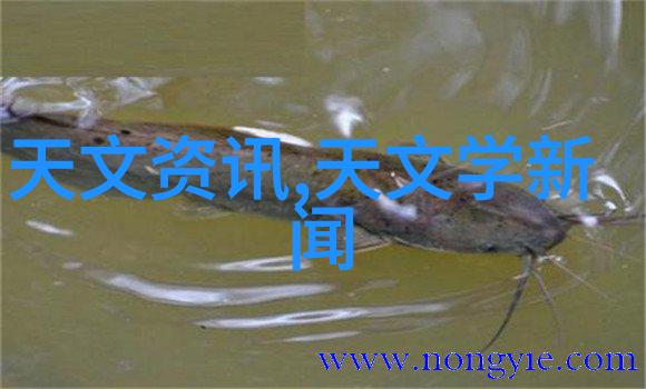 汽车配件背后的秘密解锁图片之谜