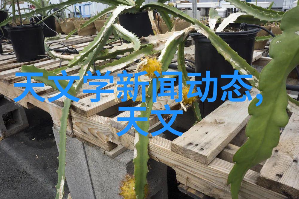 芯片巨头逆袭华为之巅的预言者