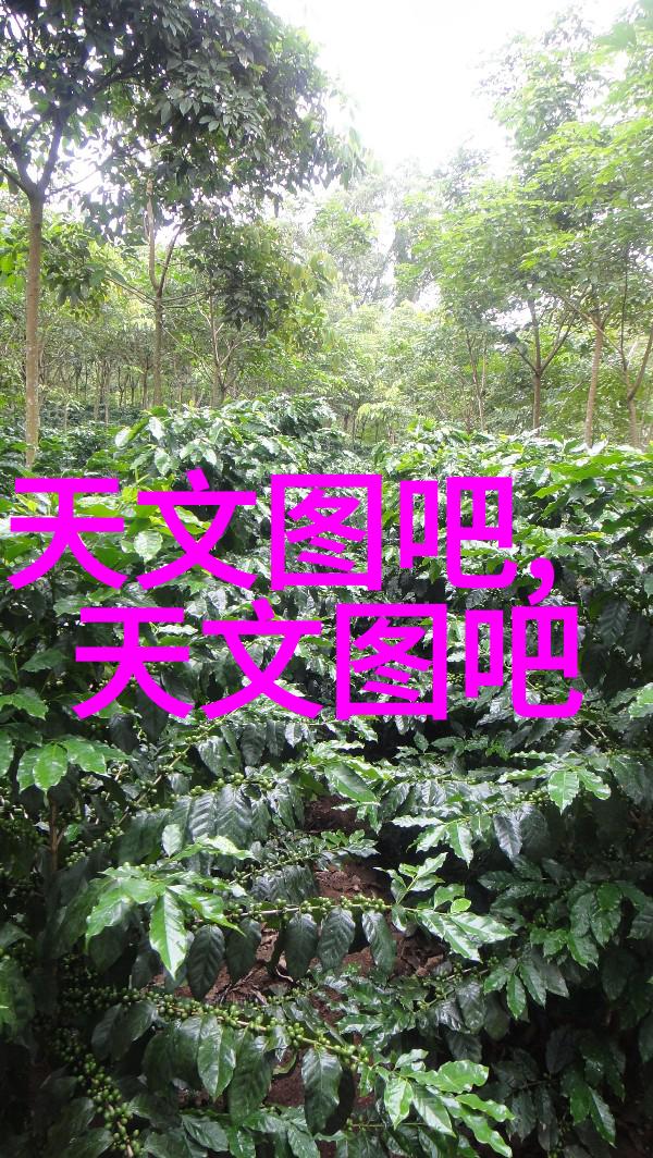 肖想你许久一曲遥寄的情愫