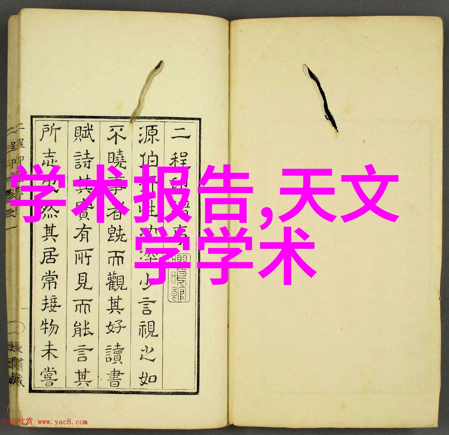 高性能聚偏氟乙烯规整填料在薄膜制造中的应用探究