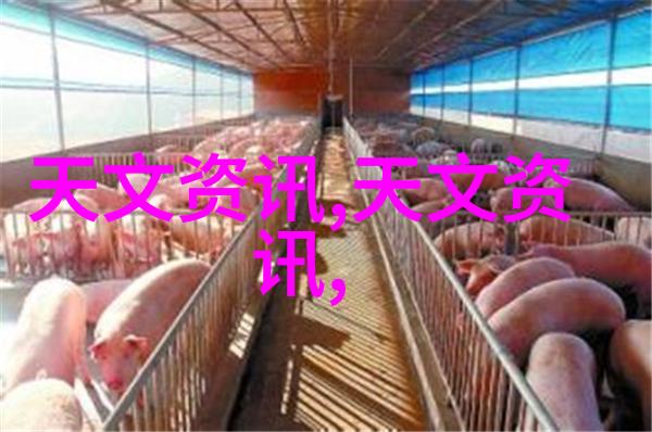 如何进行电热蒸气发生机的维护和保养以延长其使用寿命