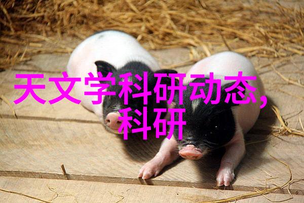 小型除尘器我的家中清洁新宠