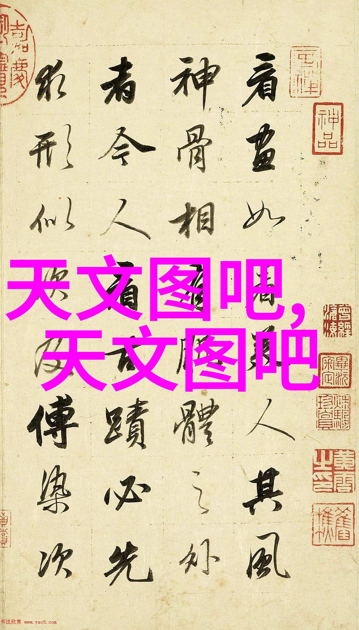 全国哪些城市拥有最大的批发市场