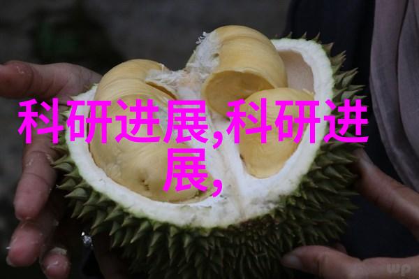 探索9612黄桃网站的iOS体验