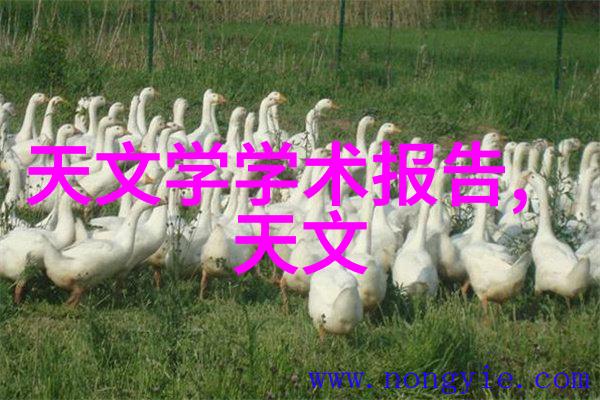 水机的智慧从清洁到节能伴你每一滴使用之旅