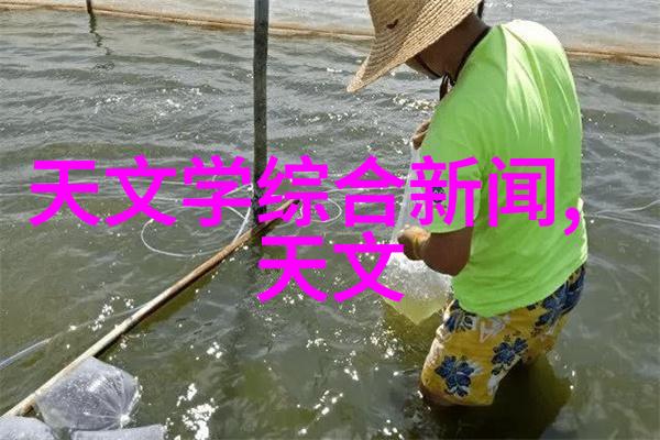 我知道吗你问的鲍尔环填料就是那块规整得像拼图里的碎片一样的东西吗