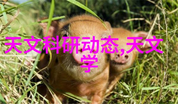 逆袭的水管从PVC到厂家的不凡旅程