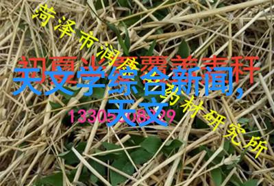 海尔单门冰箱大降价抛售热潮来袭最高八百元巨惠等你拿