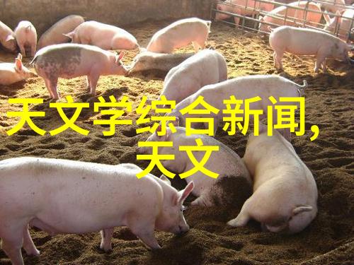 报告100字-精炼汇报如何在有限空间内传达关键信息