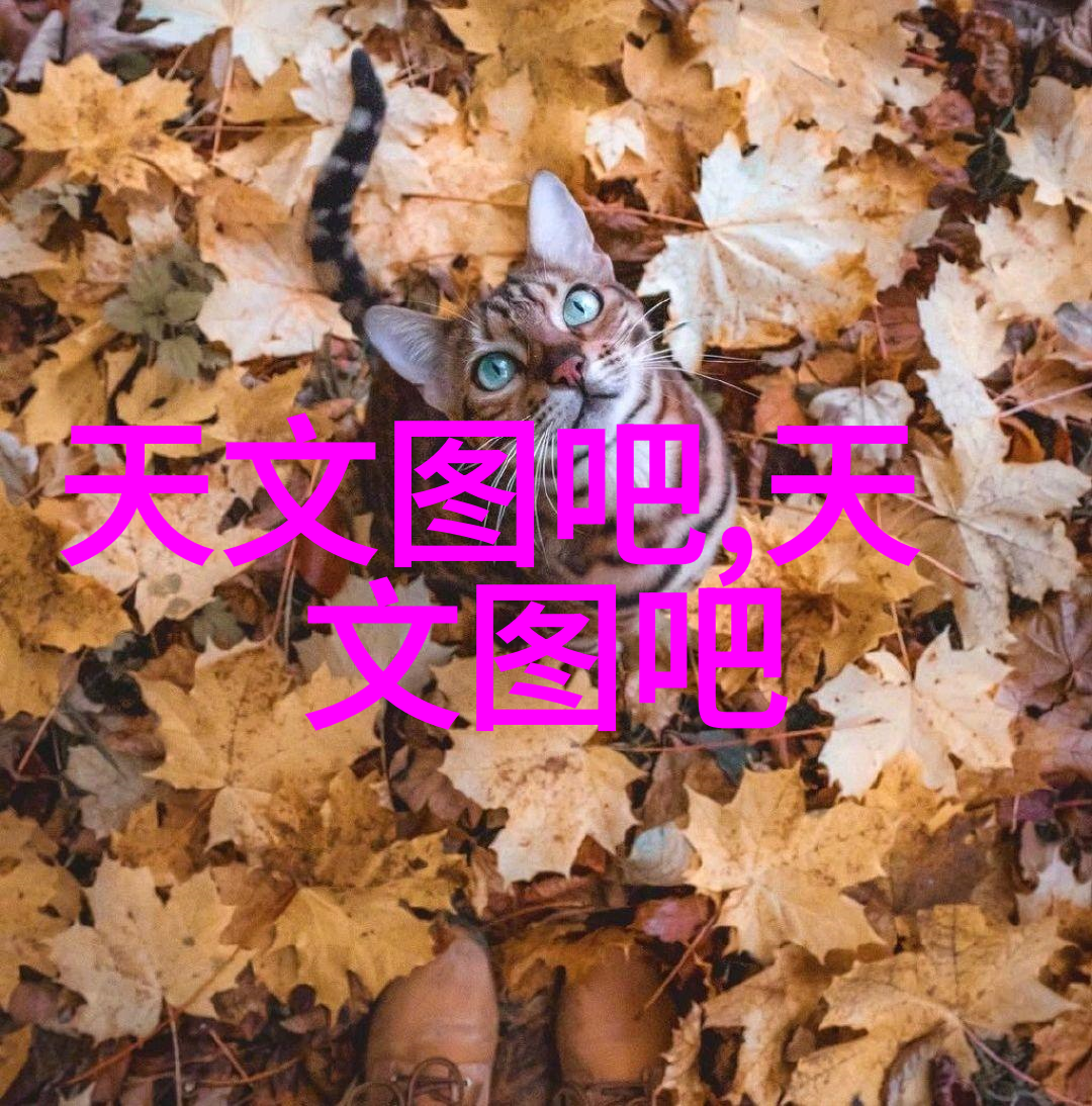 水位显示仪确保安全的水文监测先锋