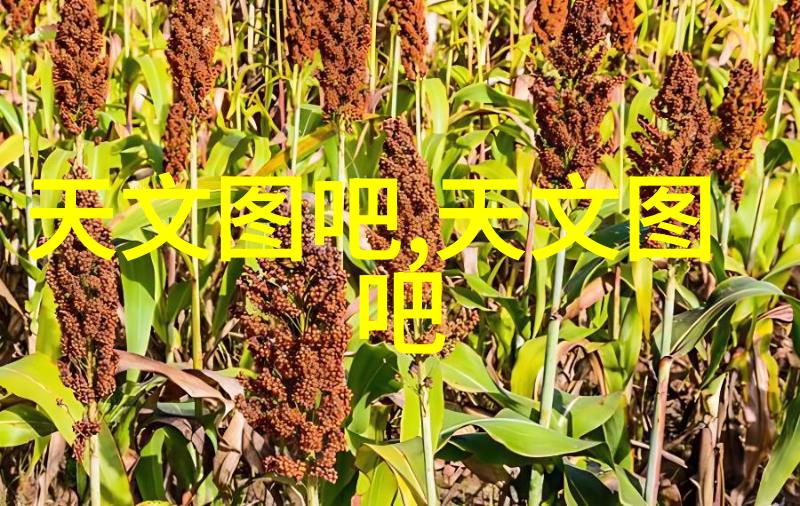 中国汽车配件产业的辉煌探秘十大汽配城背后的故事