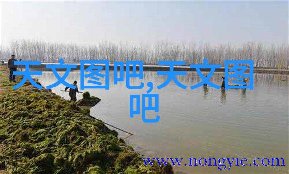 灭菌大师高压生物指示剂的幽默冒险