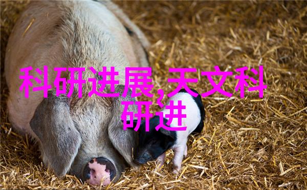 从传统到现代化小型黄酒杀菌设备的演变过程是怎样的
