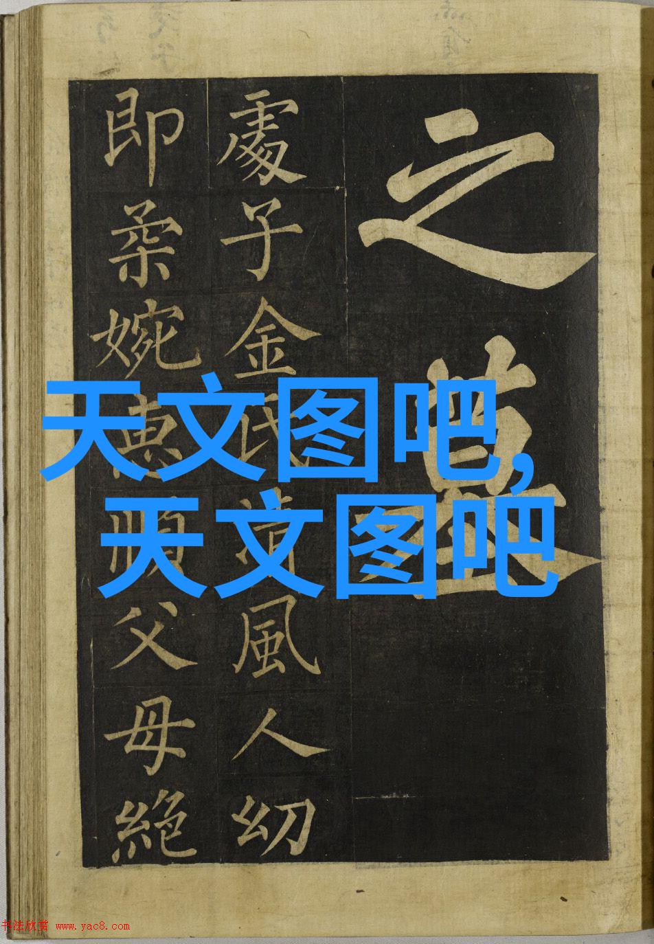 从数据到决策智能分析工具的应用