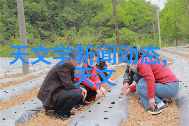 水源的守护者解读清澈湖泊的生态密码