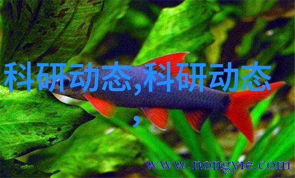 化工反应设备有哪些快来看看它们的化学幽默