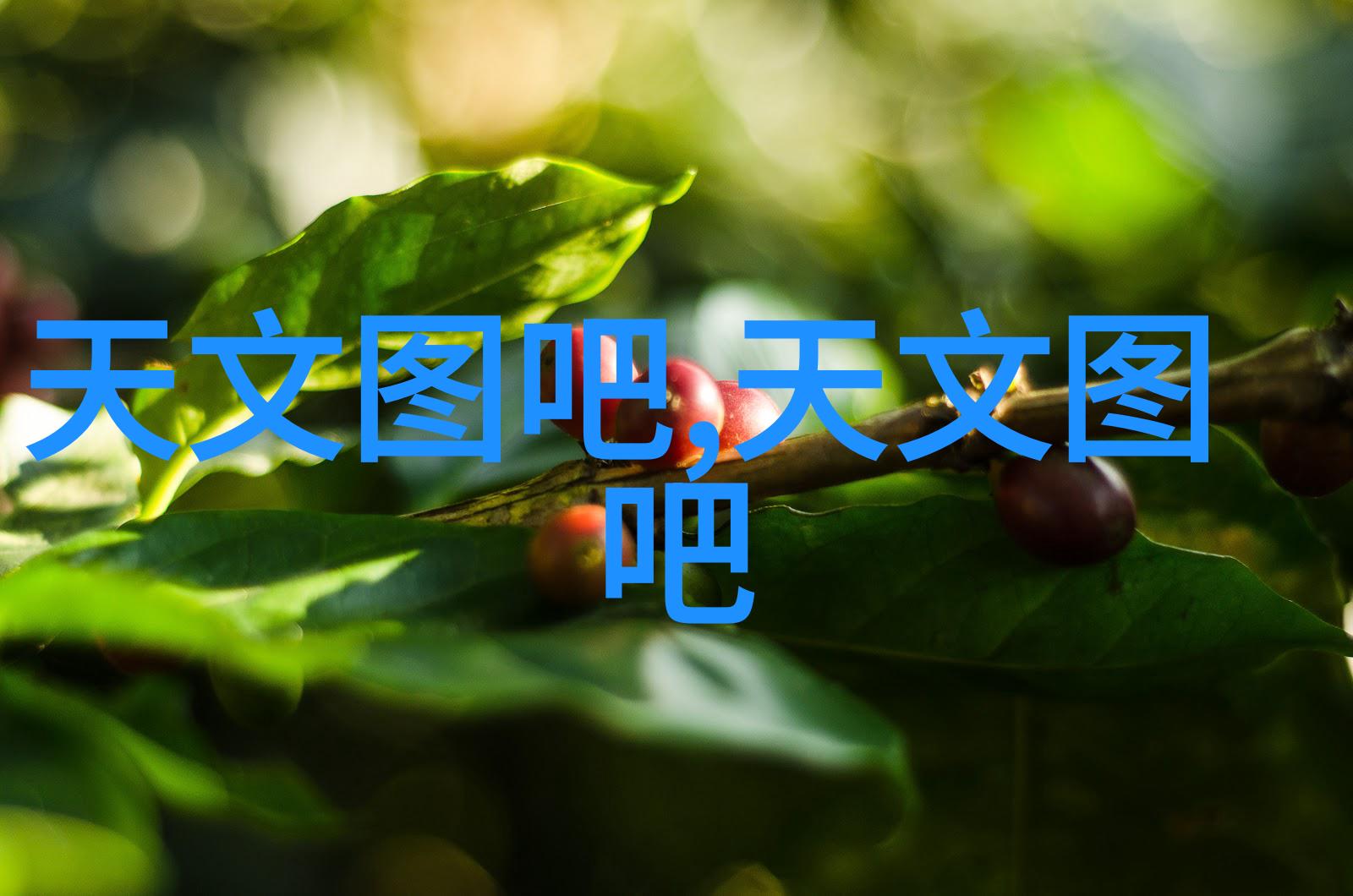 晶片之梦微观奇迹的编织