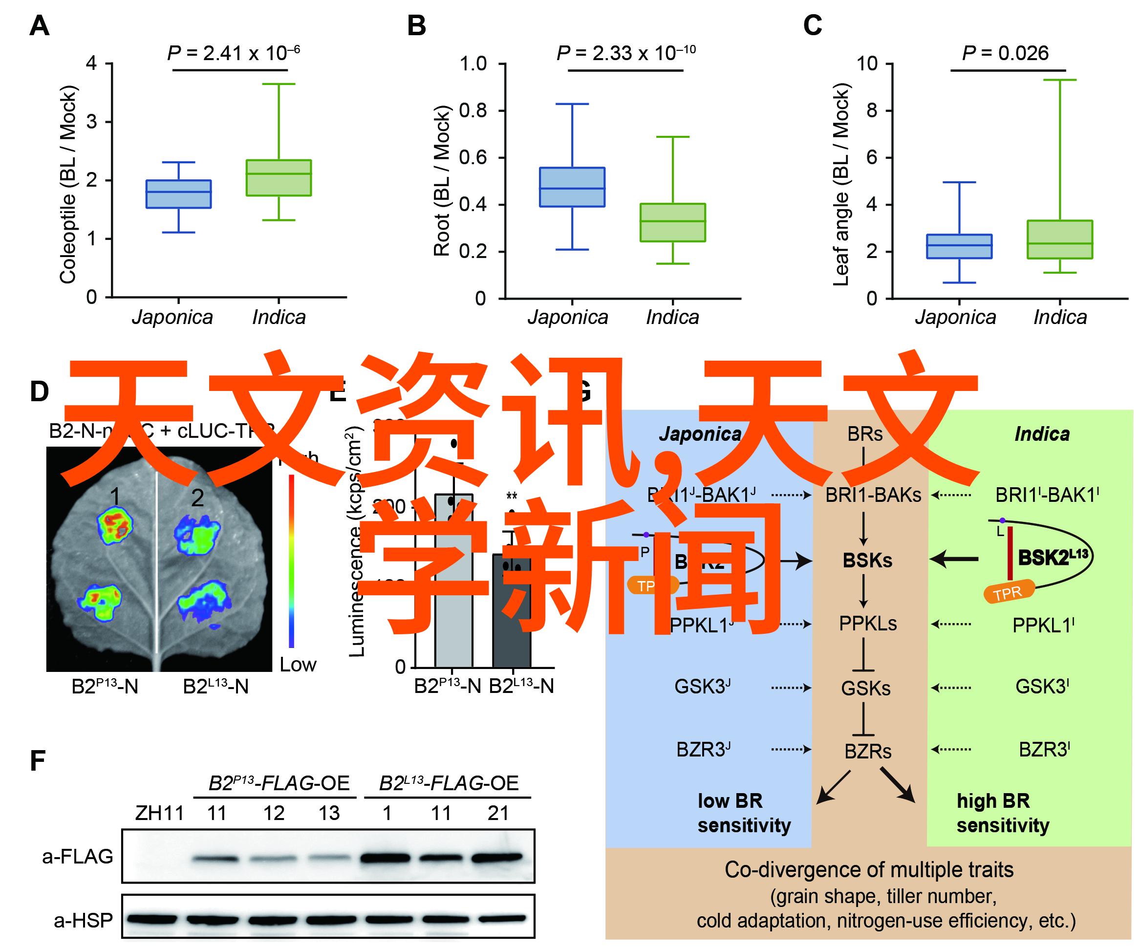 在选择临沂PVC管材生产商时应考虑他们提供的客户服务电话吗为什么