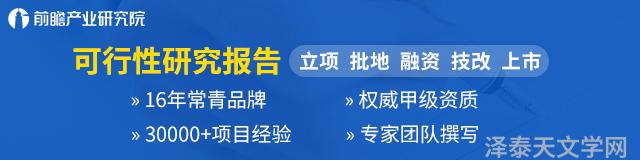 可行性研究报告